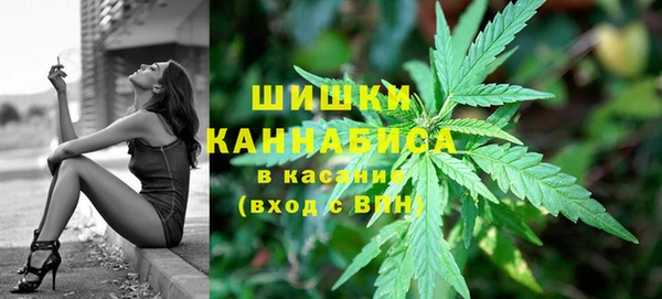 амф Магас
