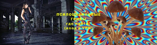 каннабис Майский