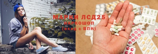амф Магас