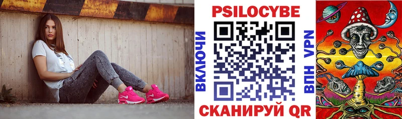 Псилоцибиновые грибы Psilocybe  omg маркетплейс  Ярославль 