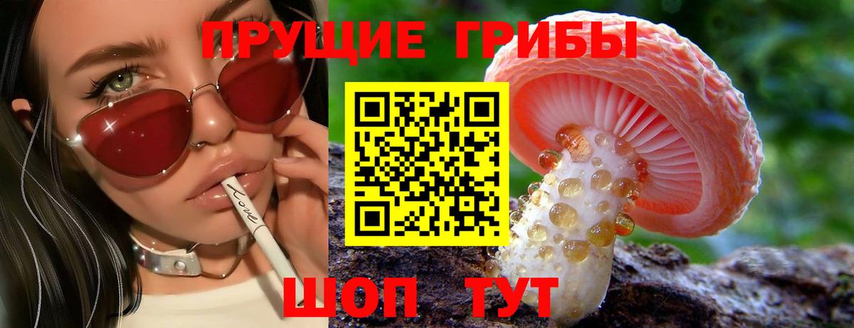 сколько стоит  Галлюциногенные грибы Psilocybe  Вход с VPN  Ярославль  Галлюциногенные грибы мухоморы 